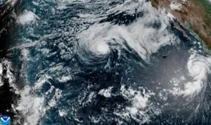 Genevieve becomes a Category 5 hurricane but is not expected to make landfall
