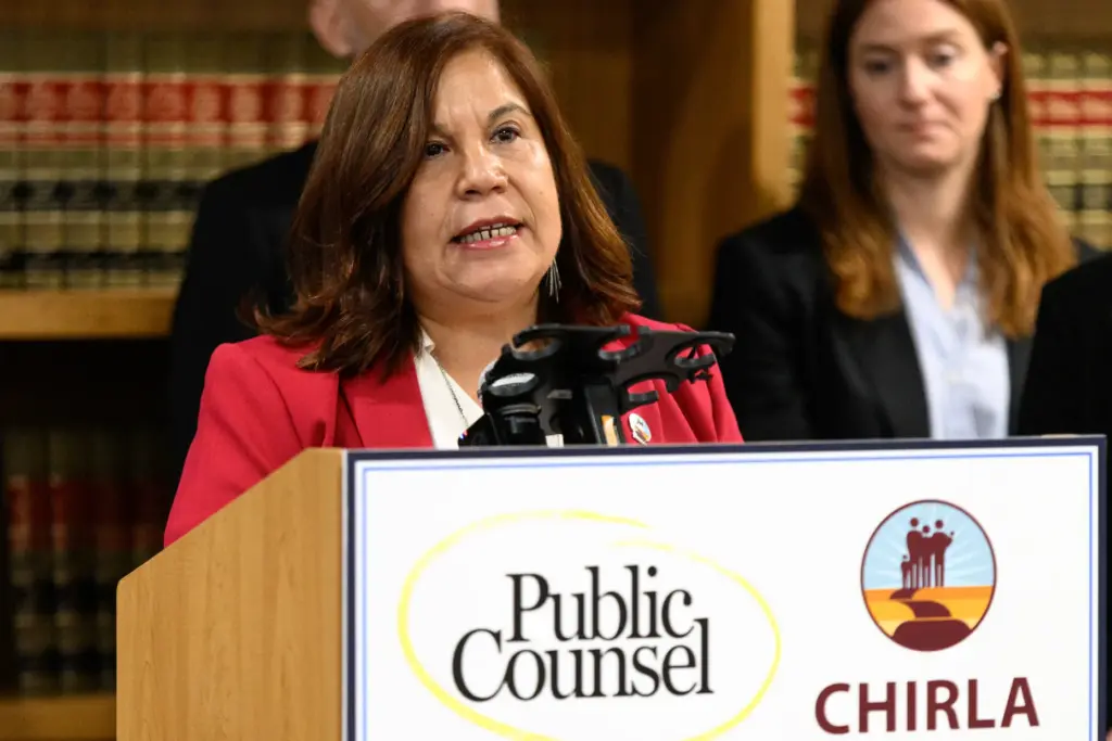 Angelica Salas, executive director of the Coalition for Humane Immigrant...