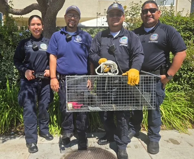 Stormy’s rescuers were able to bring the kitten out of...