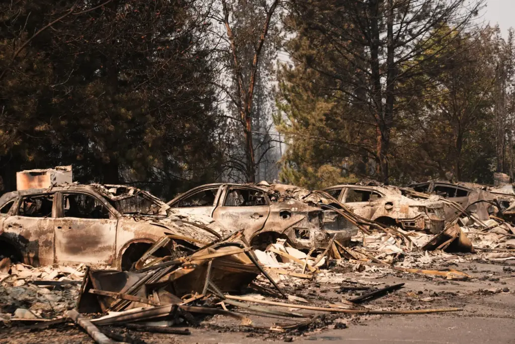 A line of burned cars sit in a parking lot...