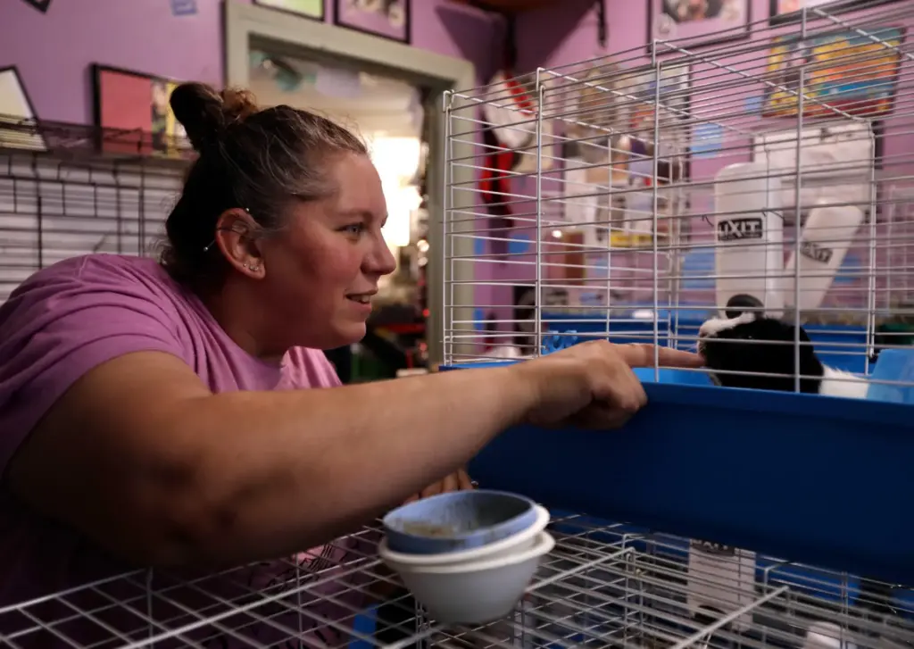 Adoption coordinator Brittany Provencale greets a guinea pig.