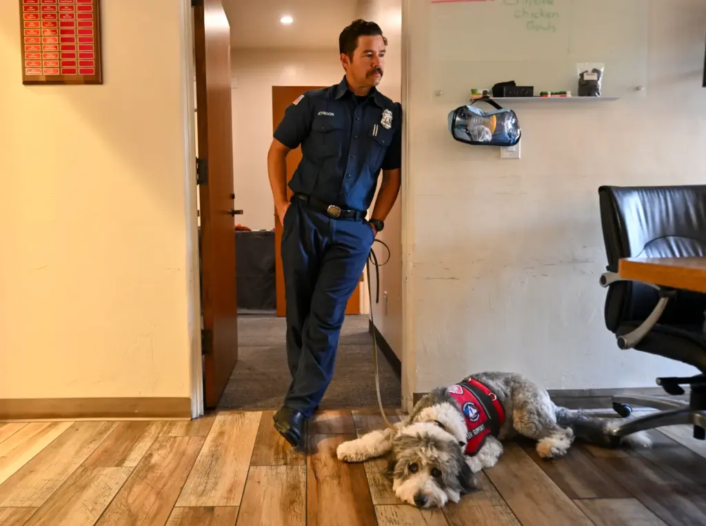 Laguna Beach Firefighter/Paramedic Logan Strook with Oro, a 2-year-old Aussiedoodle...