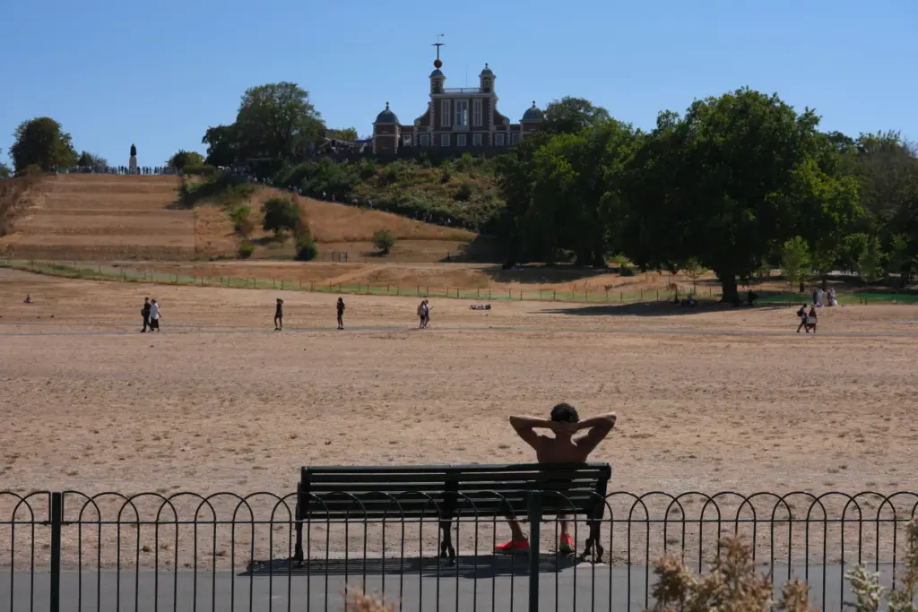 A man sits on a bench in Greenwich Park amid dried grass in London.