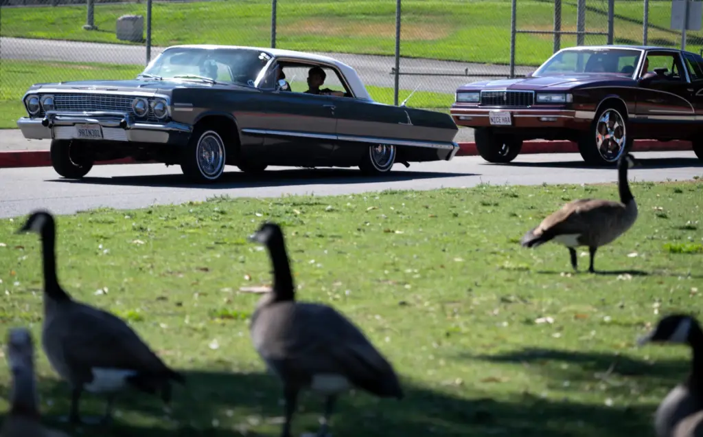 Cool cars roll into the Chicano Heritage Month festival at...
