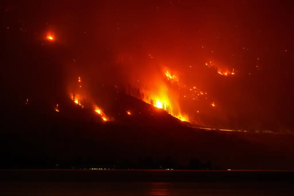 The Bald Range wildfire, that has forced people out of...