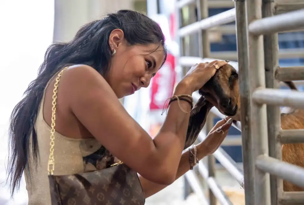 Stella Lopez of Downey gives some love to a goat...