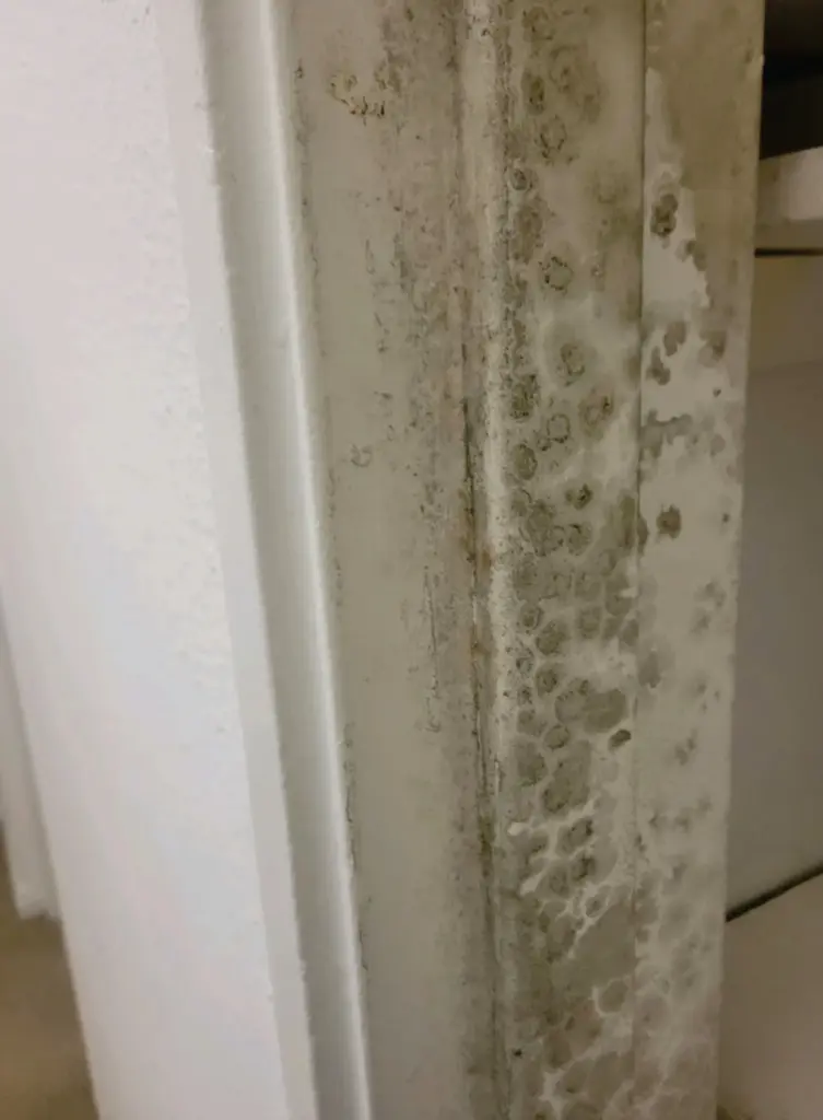 Visible mold growth on a door frame in the Hawkinsâ Fort Eustis home.
