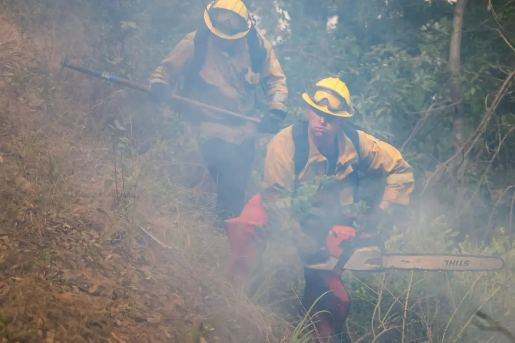 A firefighter cuts brush to stop the Timber Fire from...