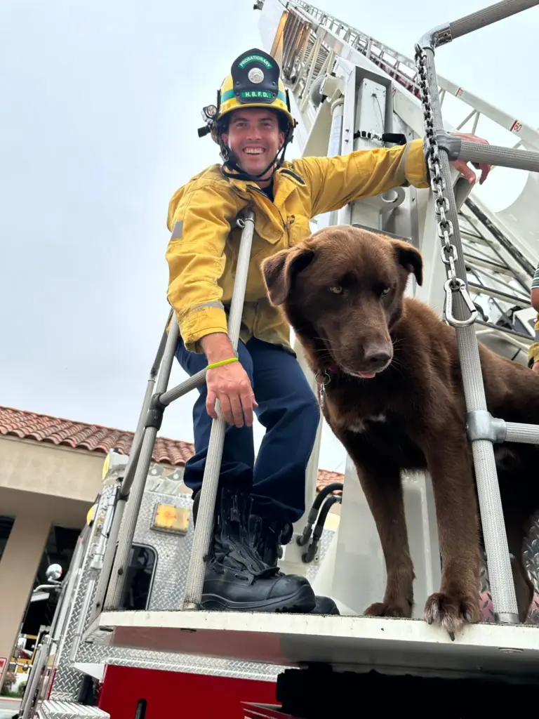 Kingman, a CISK dog at Huntington Beach Fire Department and...