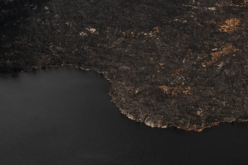 Wildfire damage is visible in the immediate area surrounding Collins First Nation.
