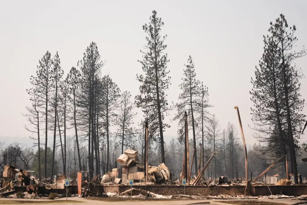Scorched trees stand over the remains of Riverside Real Life...