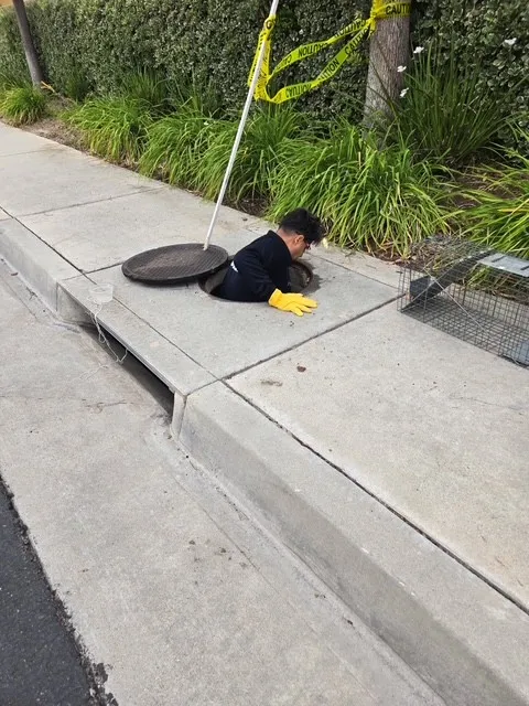 One of Stormy the kitten’s rescuers lowers into the Gardena...
