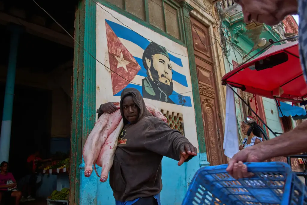 A man carries a pig at the entrance of a...
