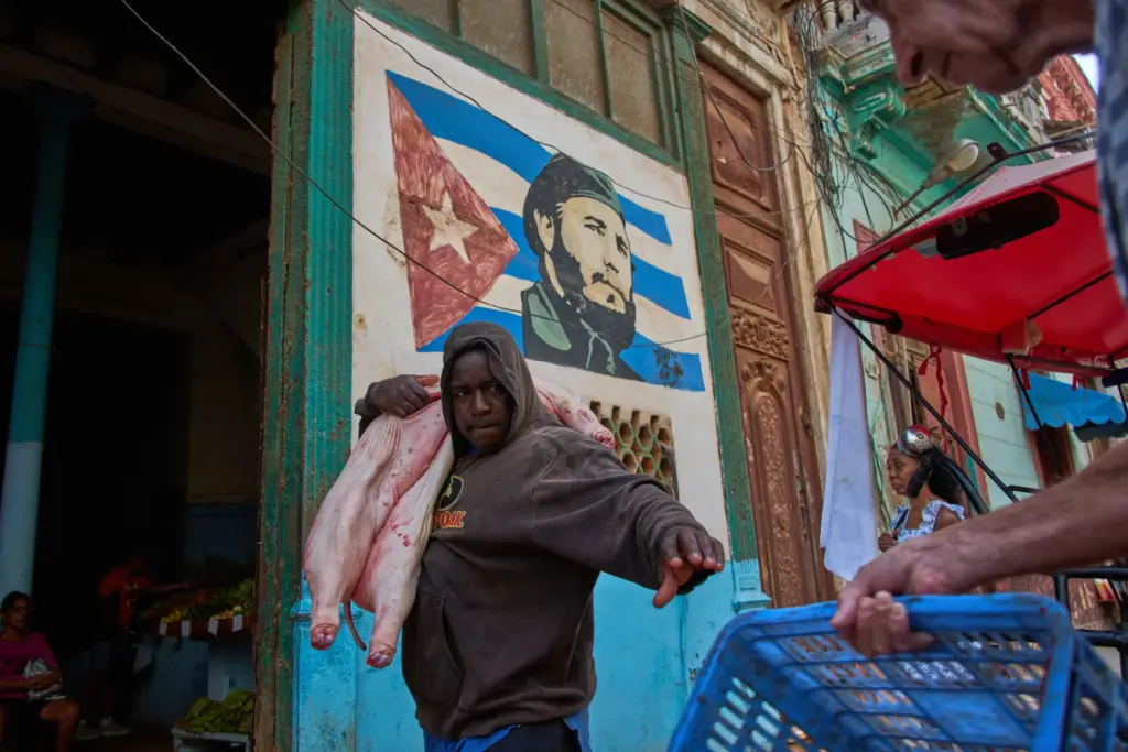 A man carries a pig at the entrance of a market.