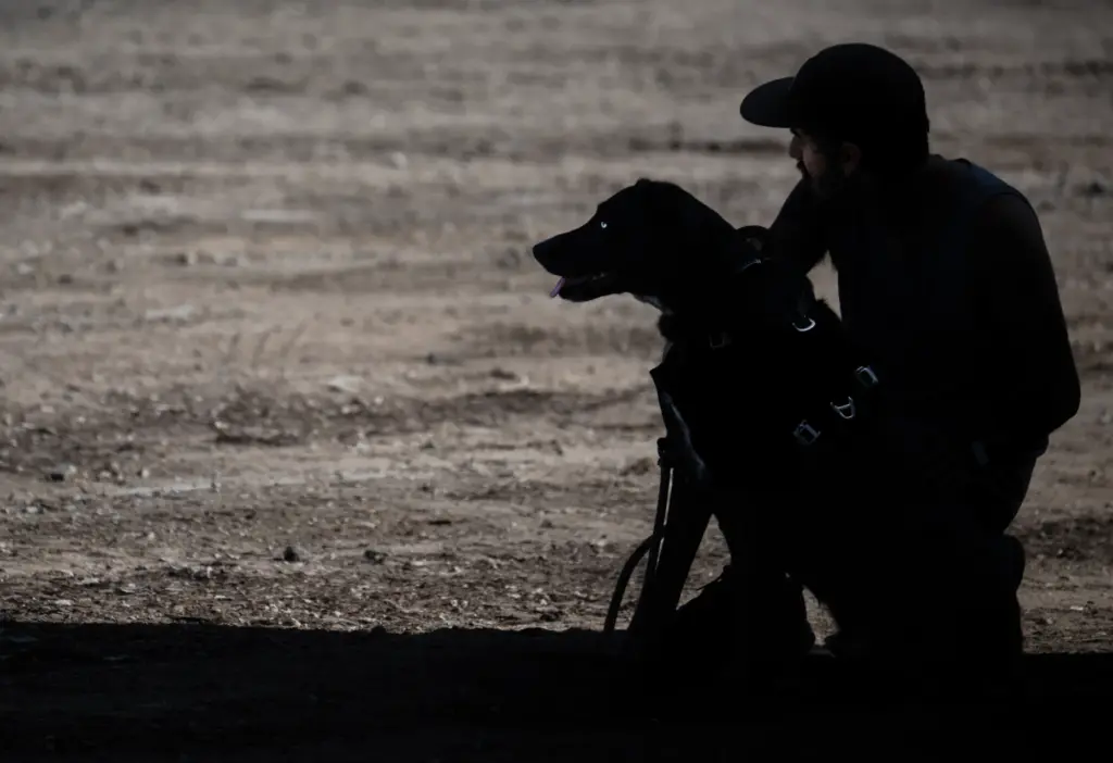 A man waits in the shade with his dog for...