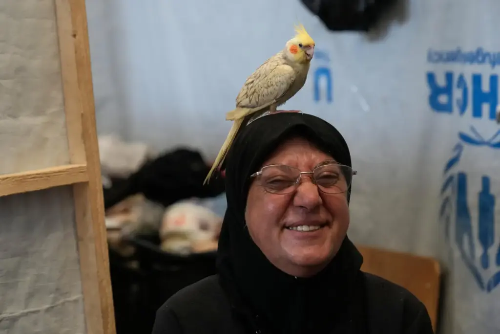 A displaced woman, Alaweya Ayoub, 44, with her parrot, Karawan,...