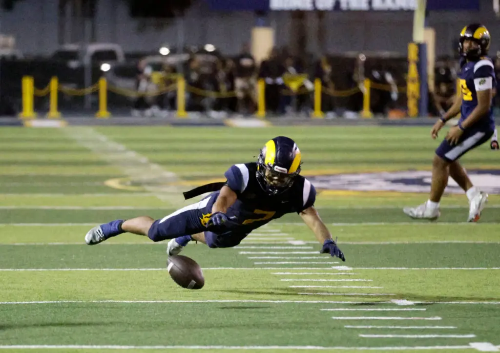 Millikans Ryan Carter (7) dives for the ball as the...