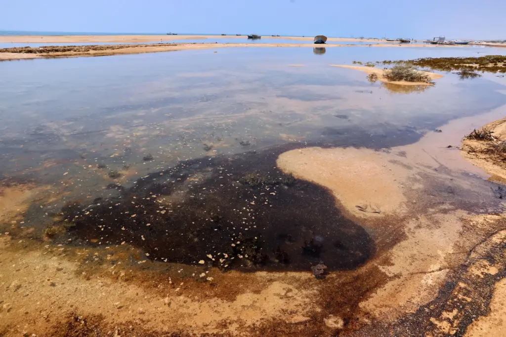 Dark oil residue collects in shallow coastal waters on Qeshm...