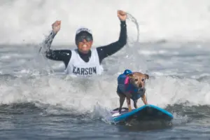 Photos: Canines hang ten at annual World Dog Surfing Championships