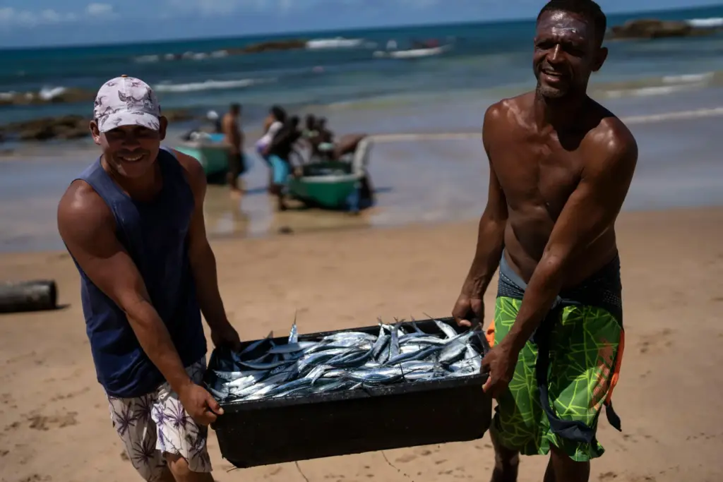Fishermen carry their catch of the day to the beach in Salvador, Brazil.