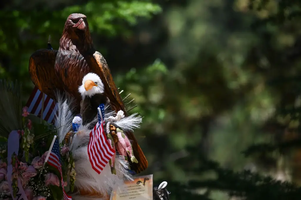 The memorial for Jackie, the Big Bear bald eagle who...