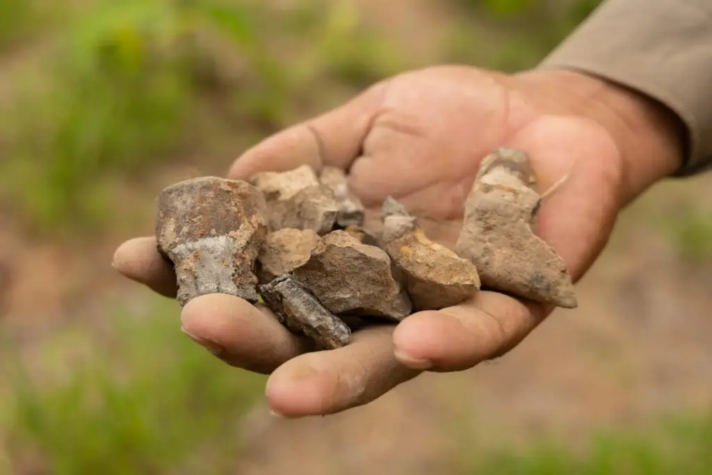 A deminer holds up the remnants of a destroyed anti-personnel landmine in Siem Reap, Cambodia.