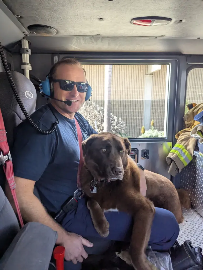 Kingman, a CISK dog at Huntington Beach Fire Department and...