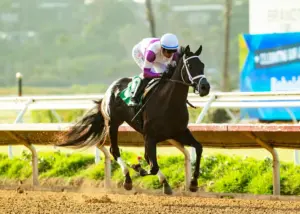 Free Closer runs away with California Thoroughbred Breeders Association Stakes at Del Mar