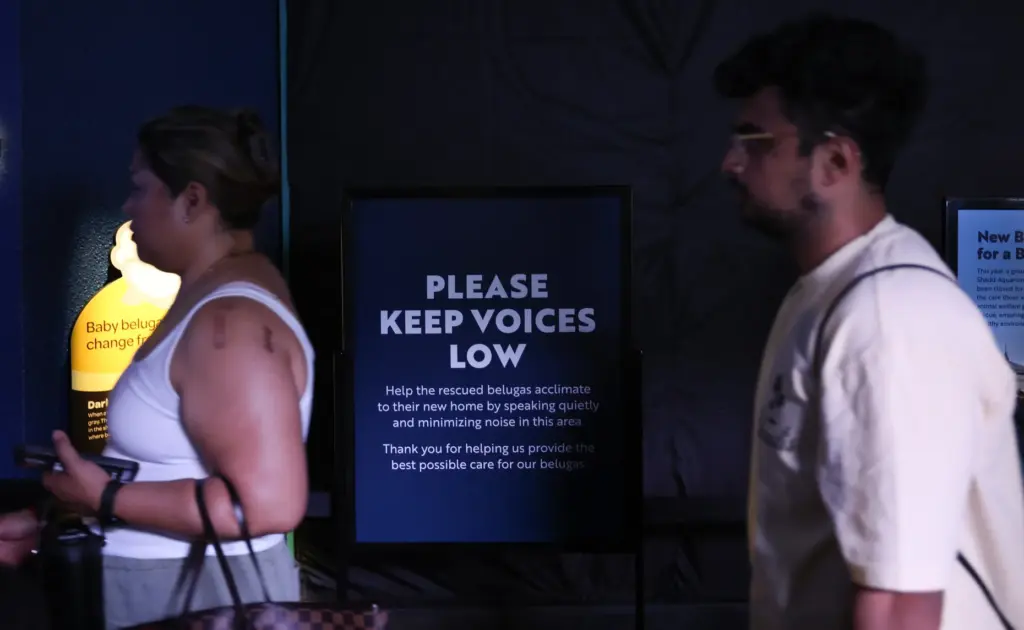 A sign is posted informing visitors of four beluga whales...