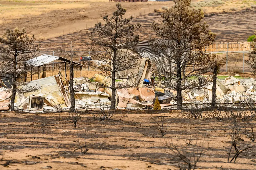 A scorched structure is seen following the Bug Fire near...