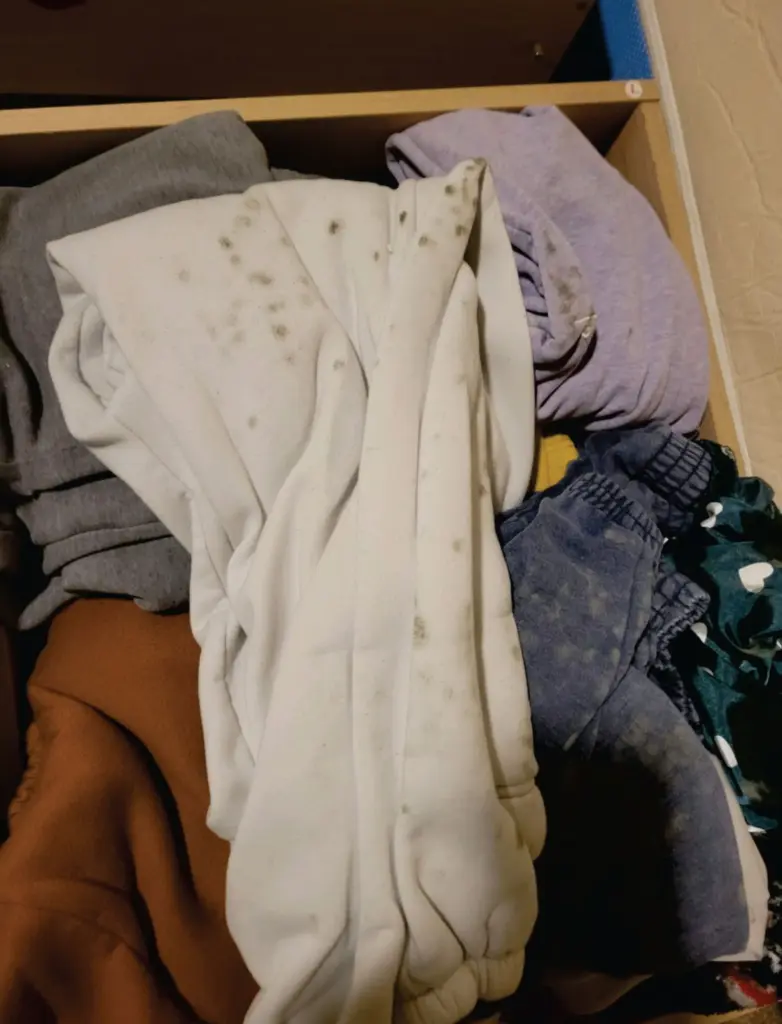 Spots of mold speckle articles of clothing in the Hawkinsâ Fort Eustis home.