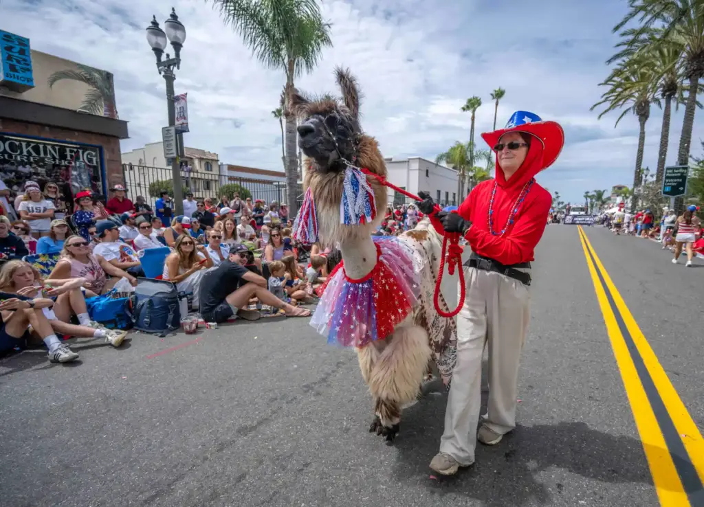 Jo OâBrian, a member of the Llama Association of Southern...