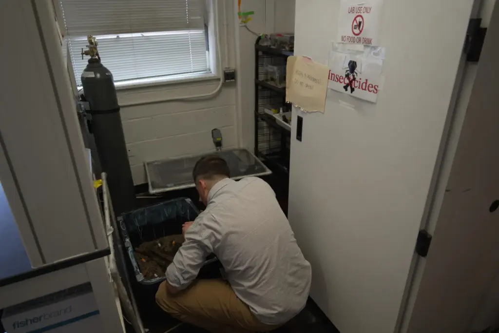 Assistant Professor Christopher Hayes checks a container filled with ants.