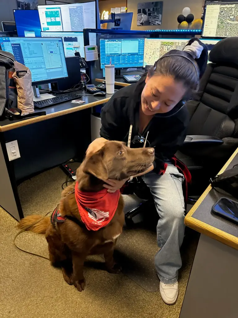 Kingman, a CISK dog at Huntington Beach Fire Department and...