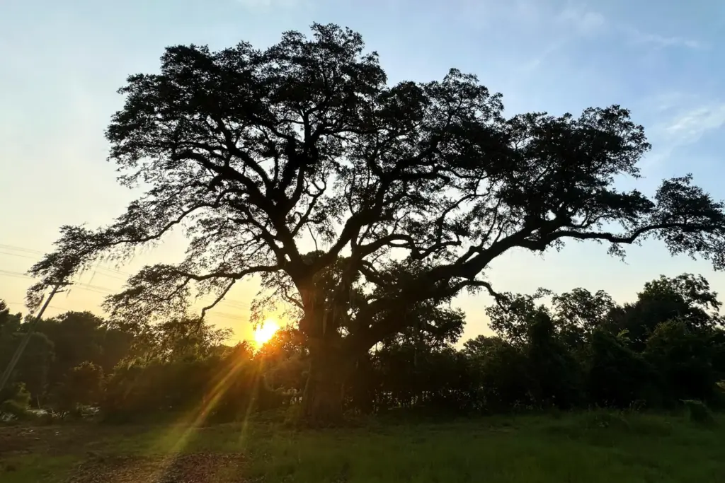 The sun rises behind a Revolutionary War 
