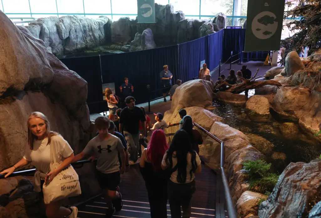 Visitors walk past a habitat closed off to the public...