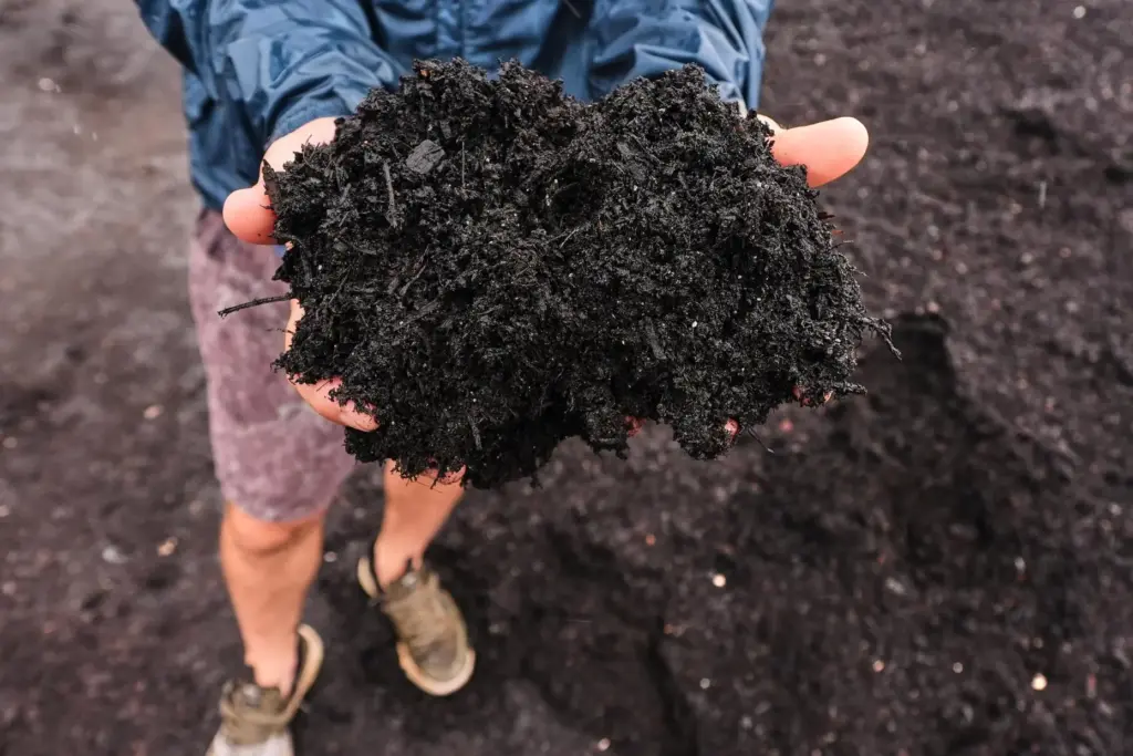 Justin Sandler holds up fresh compost, which was made from...