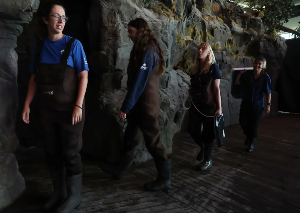 Workers walk past a habitat closed off to the public...
