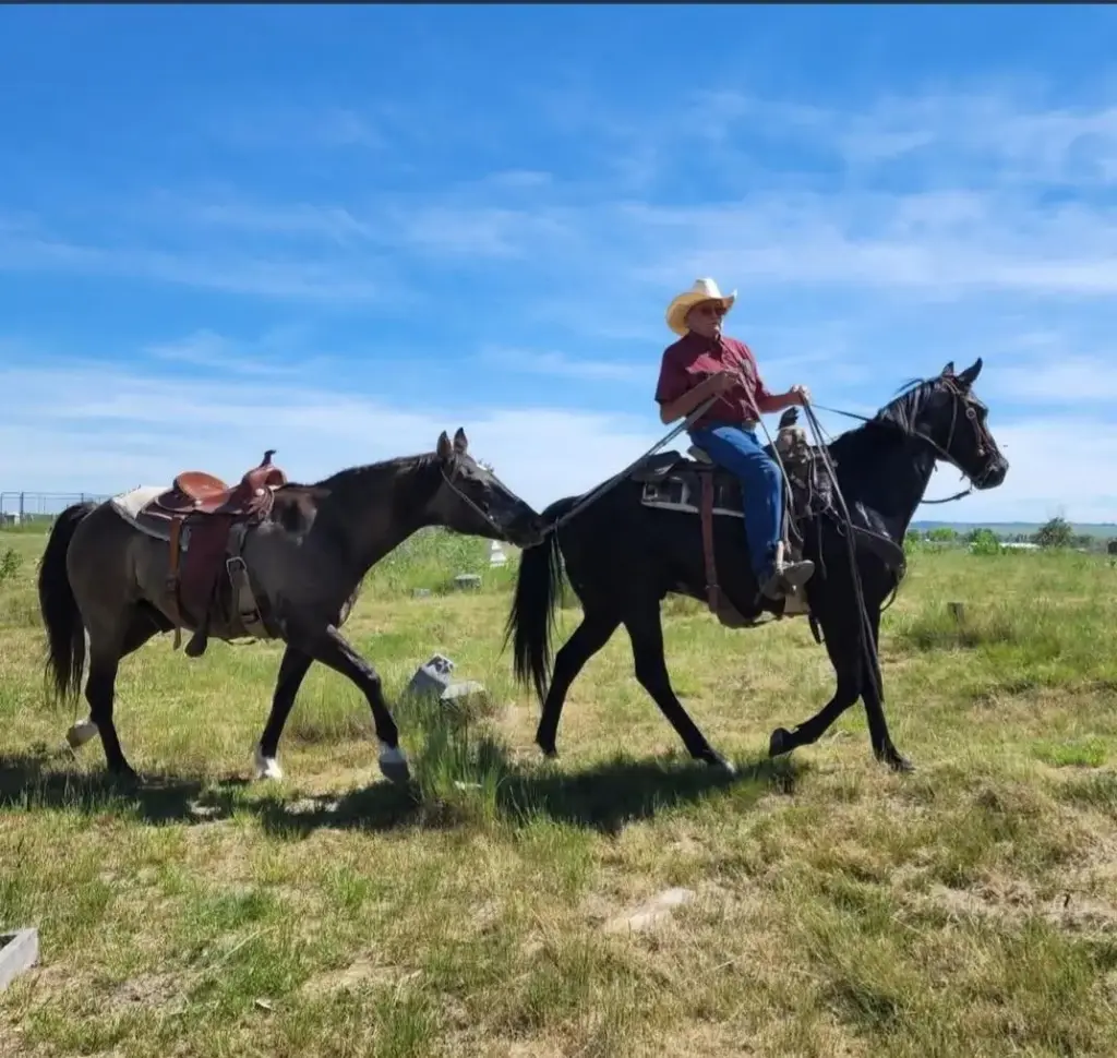 Patrick Carlow Sr. leading a horse on Pine Ridge Reservation.