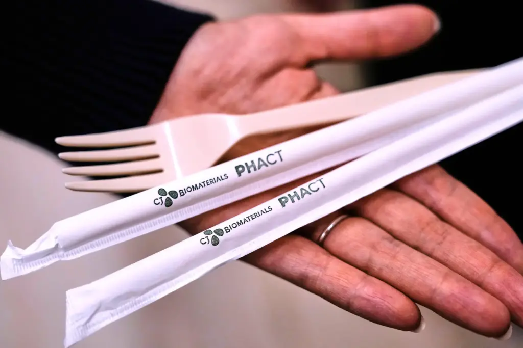 Compostable straws and a fork, which were made from plastic...