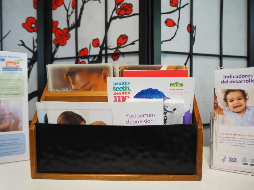 Informational pamphlets are displayed at The Momager Co.