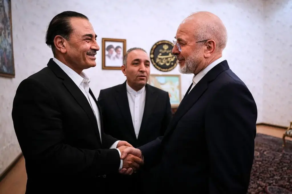 Iran's Parliament Speaker Mohammad Bagher Qalibaf shakes hands with Pakistan's Gen. Asim Munir.