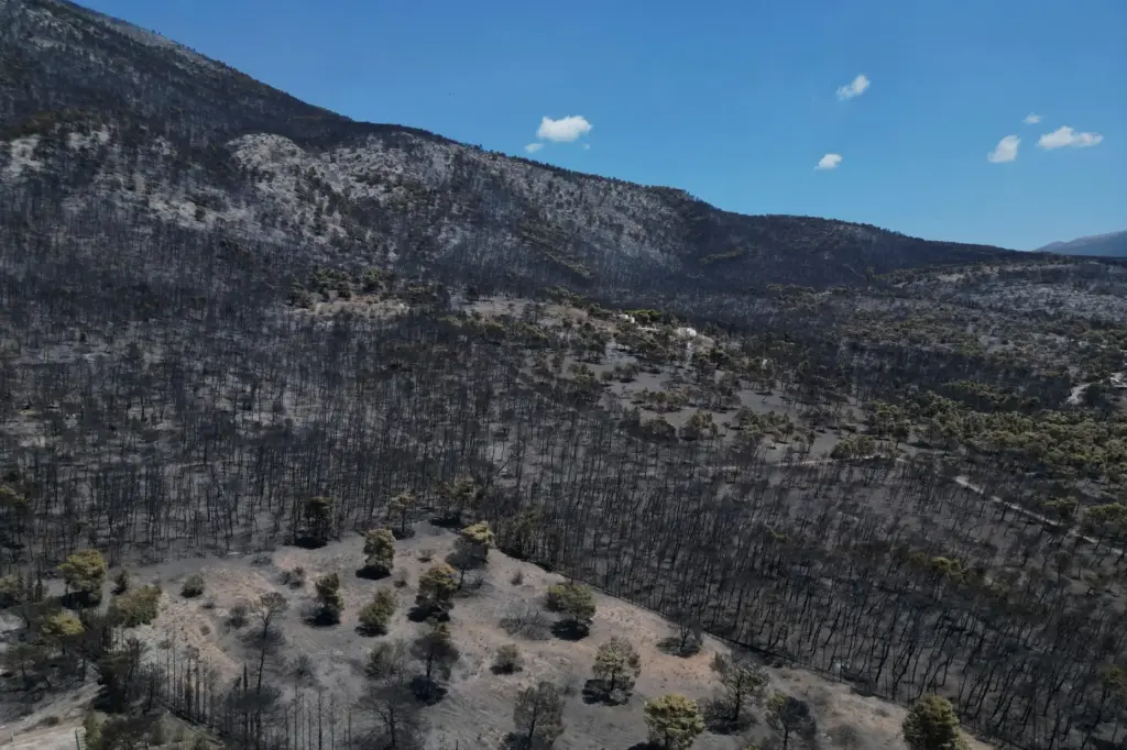 An aerial view shows burned forest after a wildfire near Porto Germeno, Greece.