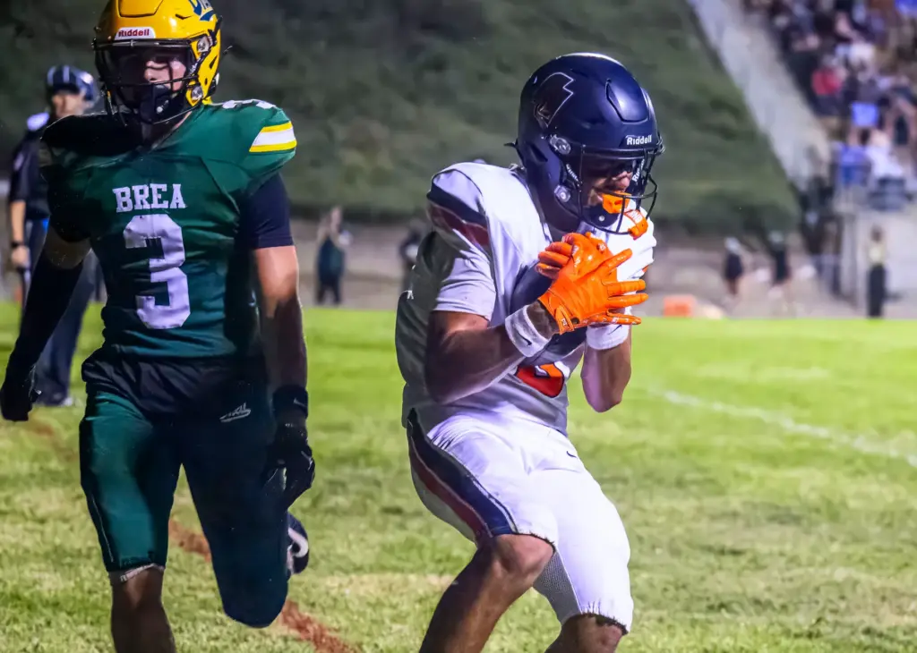 Cypress wide receiver Xavier Guerrero, right, catches a pass for...