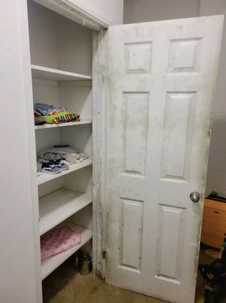 Visible mold growth is seen on a linen closet door.