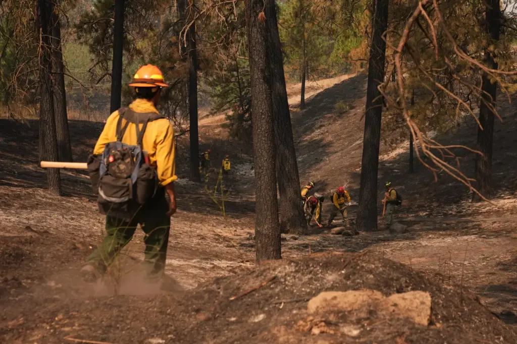 Firefighters inspect an area at Wyakin Park after a wildfire...
