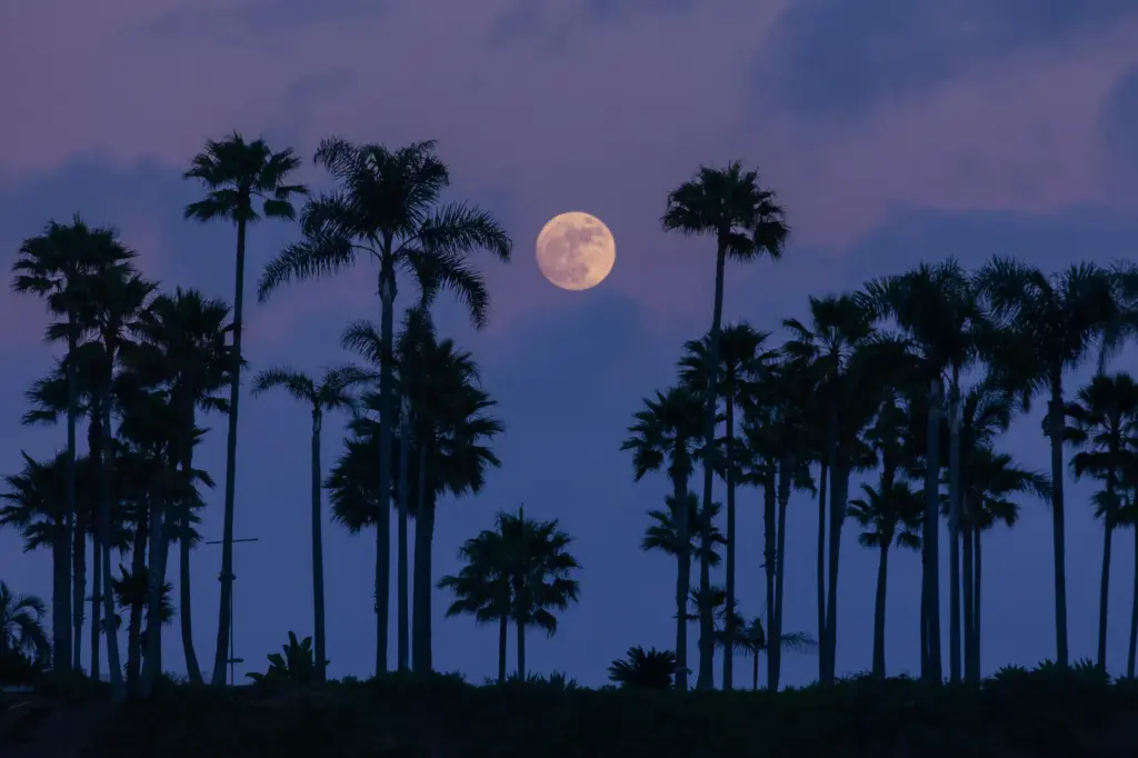 Cliff Wassman withÂ Moonrise. Honorable Mention in the professional category. (Photo...