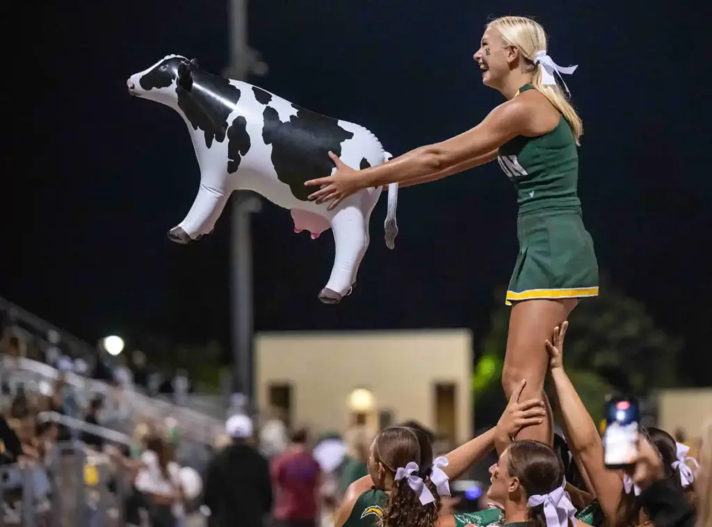 An Edison cheerleader holds an inflatable cow on western night...