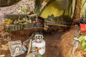 Inquiry into New Zealand man, who hid his kids in forest for years, lambasts officials’ actions