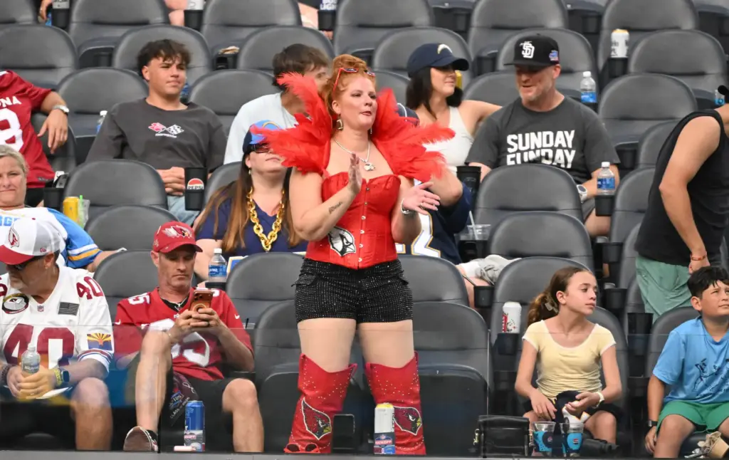 An Arizona Cardinals fan during the second half of an...
